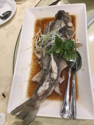 Captain's Catch by null