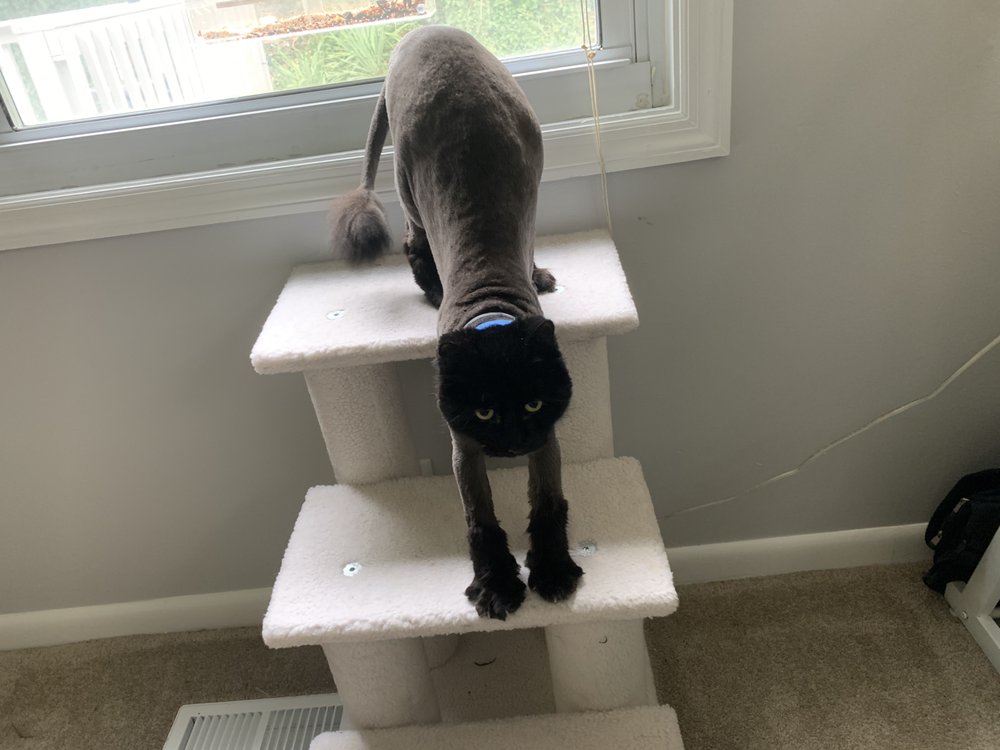 BERRY FARMS ANIMAL HOSPITAL & PET SPA Veterinarians 5021 Hughes