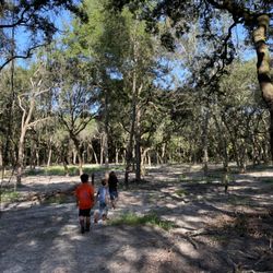 Los Pollitos Family Farm