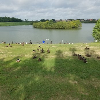 Arthur Storey Park - Parks Near Me - Houston, Texas