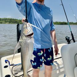 Bama Bandit Sport Fishing