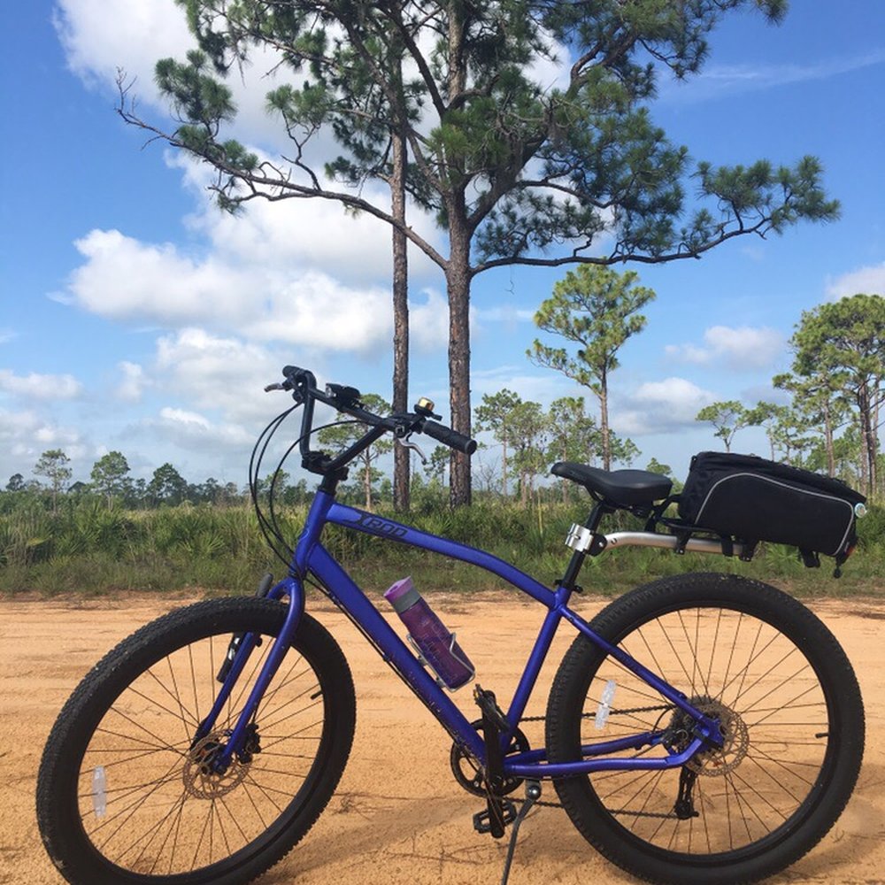 Trek Bicycles Sebring - Bikes Near Me - Sebring, Florida Trek Bicycles Sebring - Bikes Near Me - Sebring, Florida
