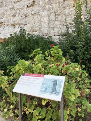 Passeig Arqueològic by null