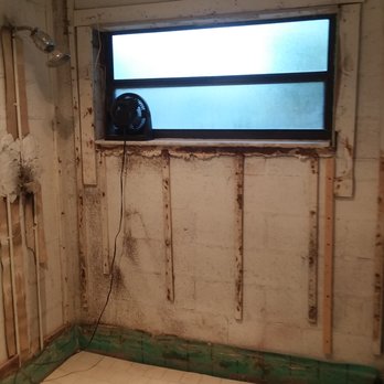 People's Trust Insurance - Some of the 3 types of mold that People's Trust claims adjuster said we didn't have. Newsflash: we do have mold according to test results! - Home & Rental Insurance Near Me - Deerfield Beach, Florida People's Trust Insurance - Some of the 3 types of mold that People's Trust claims adjuster said we didn't have. Newsflash: we do have mold according to test results! - Home & Rental Insurance Near Me - Deerfield Beach, Florida