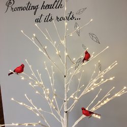 Wind In the Willows Acupuncture & Traditional Chinese Medicine