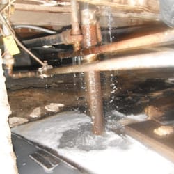 Circle Vision Restoration - broken pipe under the home causing mold to grow and pass into the home.