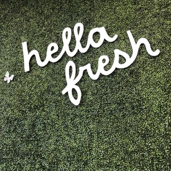 Kuma - Decor inside - Ice Cream & Frozen Yogurt Near Me - San Antonio, Texas