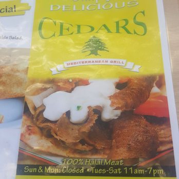 Cedars Mediterranean Grill - Lunch at Cedars...decisions ...decisions...all great food. - Greek Near Me - Stroudsburg, Pennsylvania