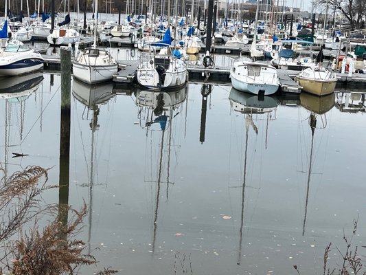 Washington Sailing Marina by null