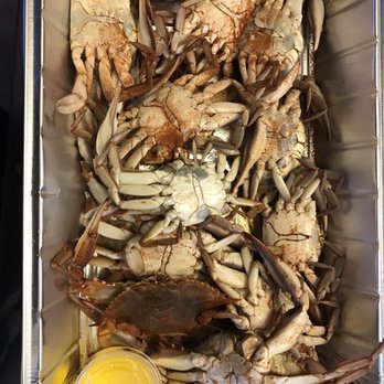 Ippolito's Seafood - Undercooked crabs - Seafood Markets Near Me - Philadelphia, Pennsylvania Ippolito's Seafood - Undercooked crabs - Seafood Markets Near Me - Philadelphia, Pennsylvania