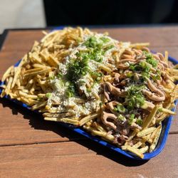 Nick The Greek - Gyro Fries