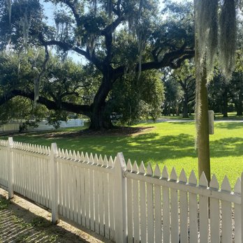 Destrehan Plantation - Live oak tree outside the mansion - Landmarks & Historical Buildings Near Me - Destrehan, Louisiana