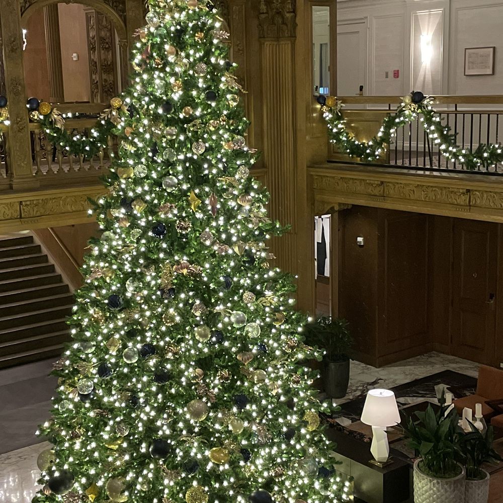 Fairmont Olympic Hotel, Seattle - Always a Large Xmas Tree up Every yr! - Hotels Near Me - Seattle, Washington