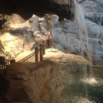 Bass Pro Shops - Waterfall inside - Outdoor Gear Near Me - Manteca, California