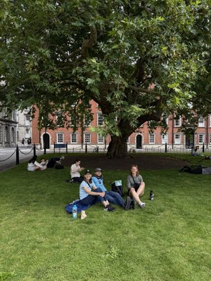 Trinity College Dublin by null