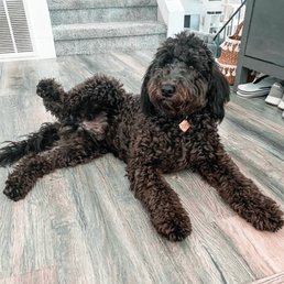 Our boy Benny.