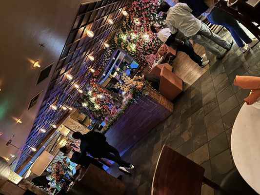 Anejo Cantina and Grill by null