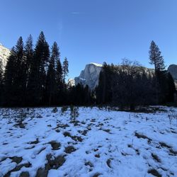 Best Tours & Travel - January Yosemite trip