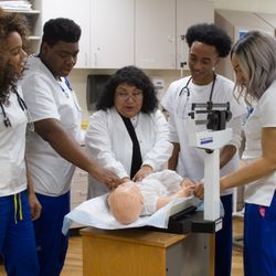 AMG School of Licensed Practical Nursing