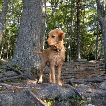 Long Lake Provincial Park - Tully! - Dog Parks Near Me Long Lake Provincial Park - Tully! - Dog Parks Near Me