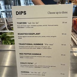 Dip Options and Descriptions Dip Options and Descriptions