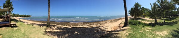 Praia do Forte by null