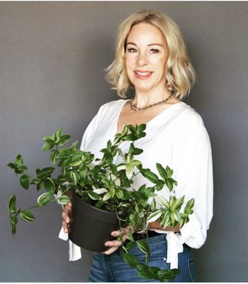 Our Lovely Plants - We carry a large variety of plants at all times. You will find little, rare treasures and house hold staples, we have em all! Our Lovely Plants - We carry a large variety of plants at all times. You will find little, rare treasures and house hold staples, we have em all!