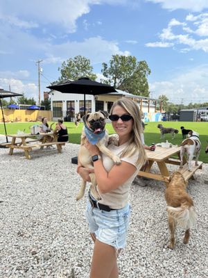 BARk House Social by null