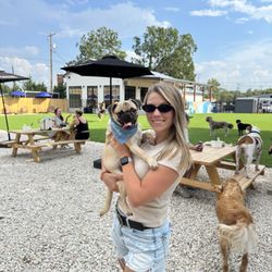 Bark House Social