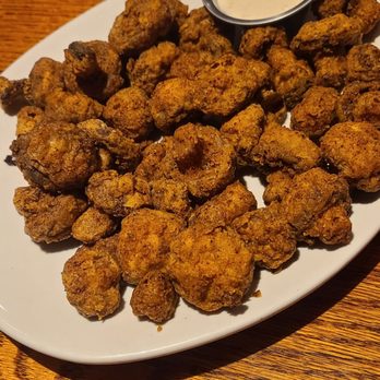 Outback Steakhouse - Sydney Shrooms - Steakhouses Near Me - Lawton, Oklahoma Outback Steakhouse - Sydney Shrooms - Steakhouses Near Me - Lawton, Oklahoma