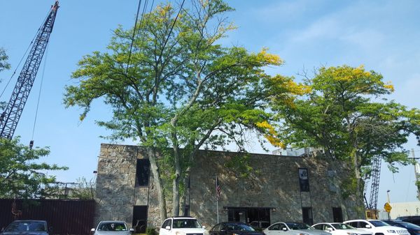 Falco Constr Corporation