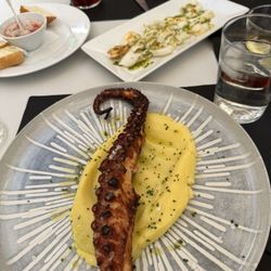 Turia - Galatian Octopus