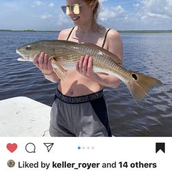 Sandbar Safari - Another Red Drum