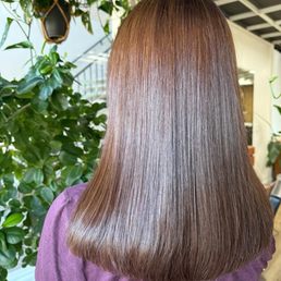 Single process, toner and hair cut