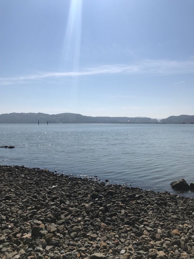 REMILLARD PARK CITY OF LARKSPUR Updated September 2024 142190 E