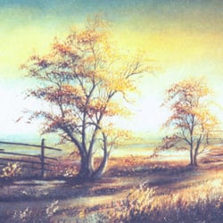 Bildergalerie Artur Krause