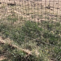Maricle Land and Livestock - Second fence damaged