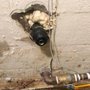 Photo of M & S Plumbing