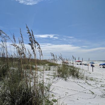Grayton Beach State Park - Parks Near Me - Santa Rosa Beach, Florida