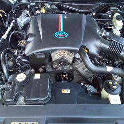 Lous Automotive & Performance - Clean 4.6l 2v