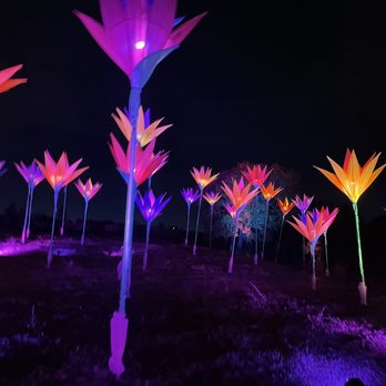 Houston Botanic Garden - The flowers were beautiful - Venues & Event Spaces Near Me - Houston, Texas Houston Botanic Garden - The flowers were beautiful - Venues & Event Spaces Near Me - Houston, Texas
