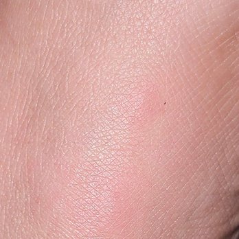 La Barca Jalisco Restaurant - My left foot! - Mexican Near Me - Pico Rivera, California La Barca Jalisco Restaurant - My left foot! - Mexican Near Me - Pico Rivera, California