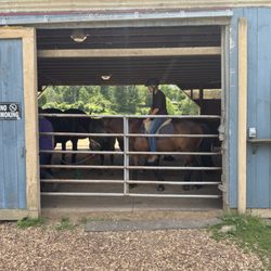 Blue Riders Stables - Me on Svadi