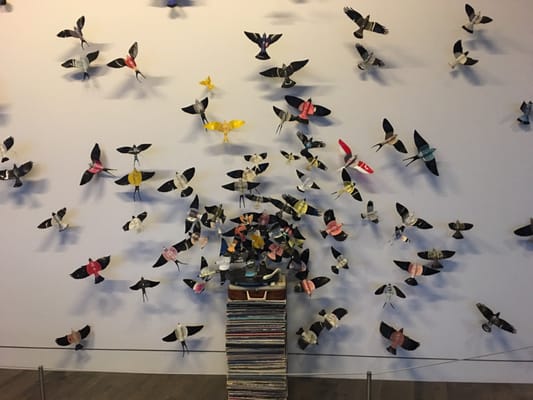 The Alexander by null