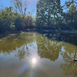 Secret oasis