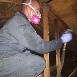 Accurate Pest Management - We treat in some of the roughest areas.