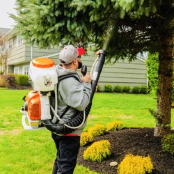 Knockout Mosquito and Tick Control - Mosquito control