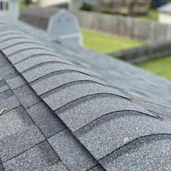 Homestead Roofing & Restoration