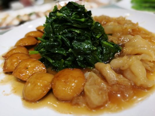 Captain's Catch by null