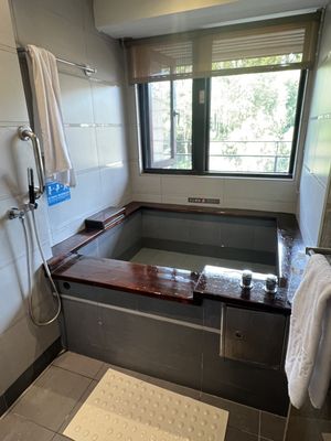 Sun Moon Lake Hotel by null